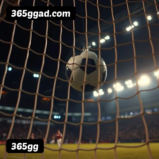 6 vantagens exclusivas do programa VIP da 365gg